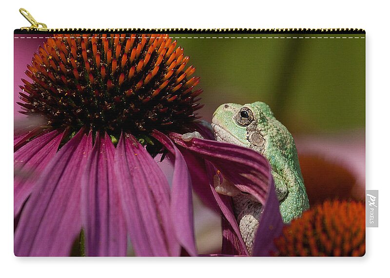 Frog Zip Pouch featuring the photograph Frog and his Cone by Jan Killian