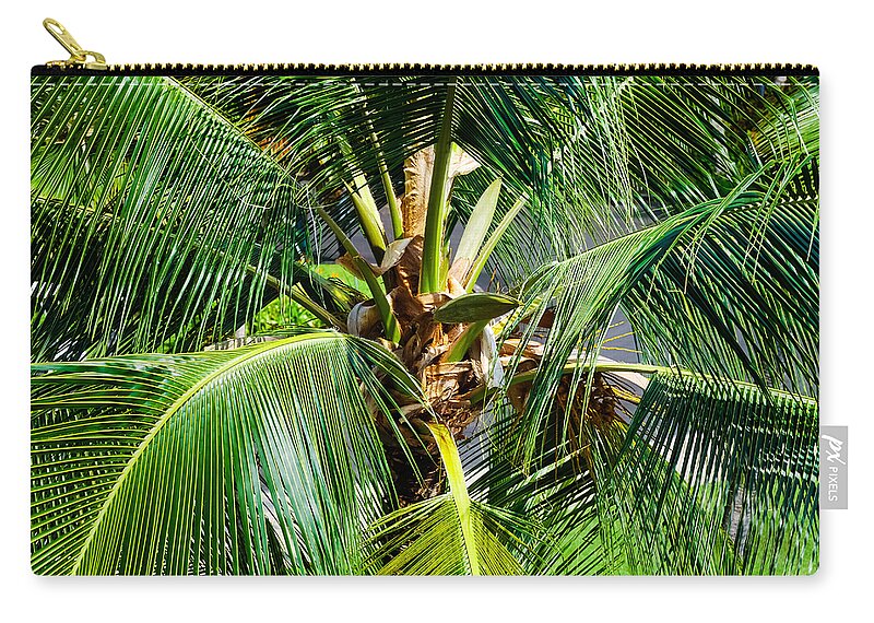 Botany Carry-all Pouch featuring the photograph Fronds and Center by Christi Kraft