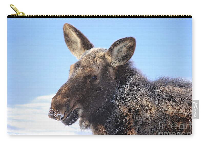 Moose Zip Pouch featuring the photograph Frosty Moose by Marty Fancy