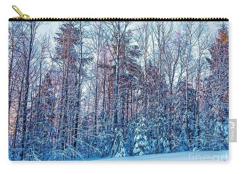 Maine Photos Zip Pouch featuring the photograph Frozen Winter by Alana Ranney