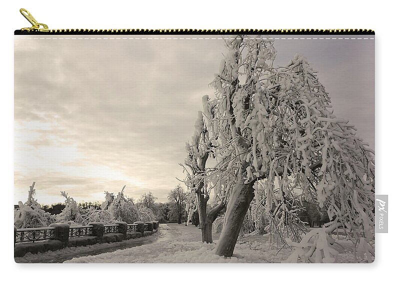 Niagara Falls Zip Pouch featuring the photograph Frozen In Time by Hany J