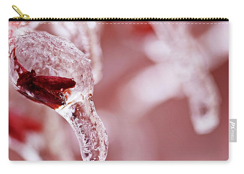 Fruit Zip Pouch featuring the photograph Frozen Jewel by Debbie Oppermann