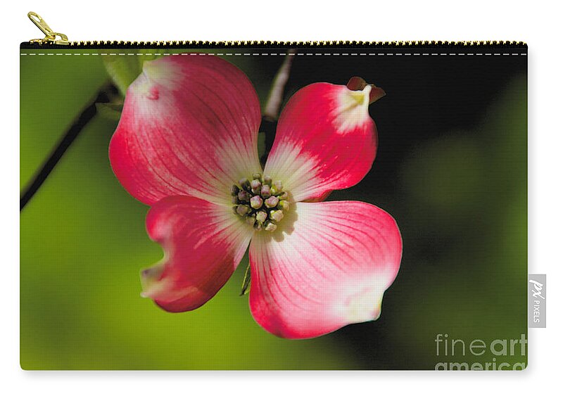 Fruit Tree Zip Pouch featuring the photograph Fruit Tree Flower by William Norton