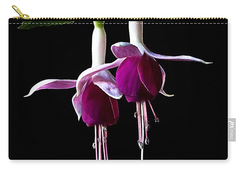 Flower Zip Pouch featuring the photograph Fuchsias by Endre Balogh