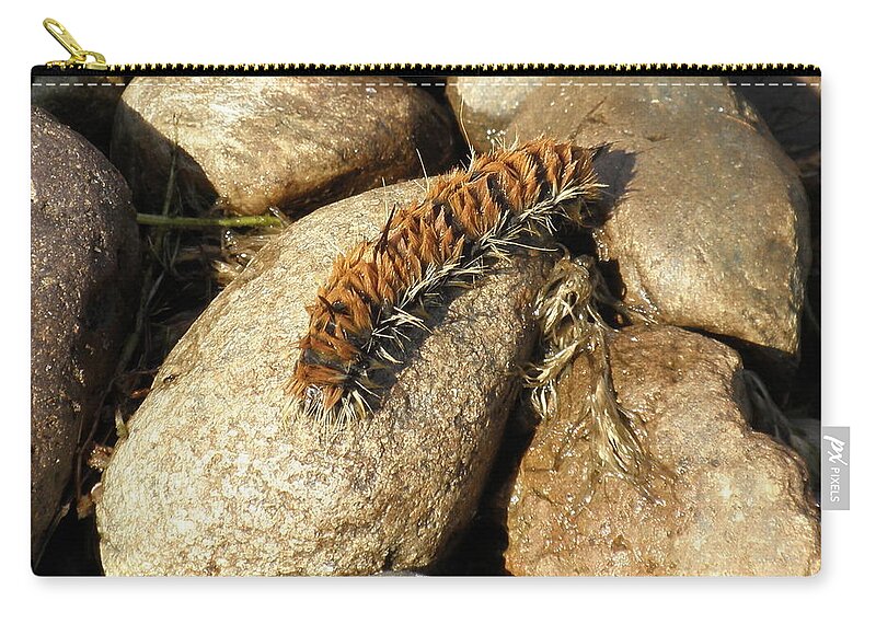 Caterpillar Zip Pouch featuring the photograph Fuzzy Friend by Vivian Martin