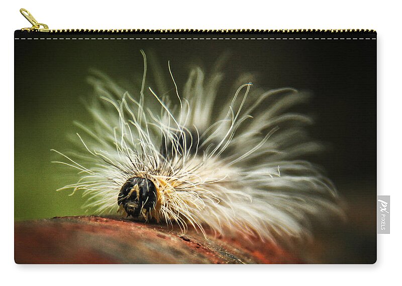 Fuzzy Was He Zip Pouch featuring the photograph Fuzzy Was He by Lucy VanSwearingen