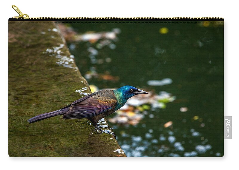 Common Gackle Zip Pouch featuring the photograph Gackle 4 by Sennie Pierson