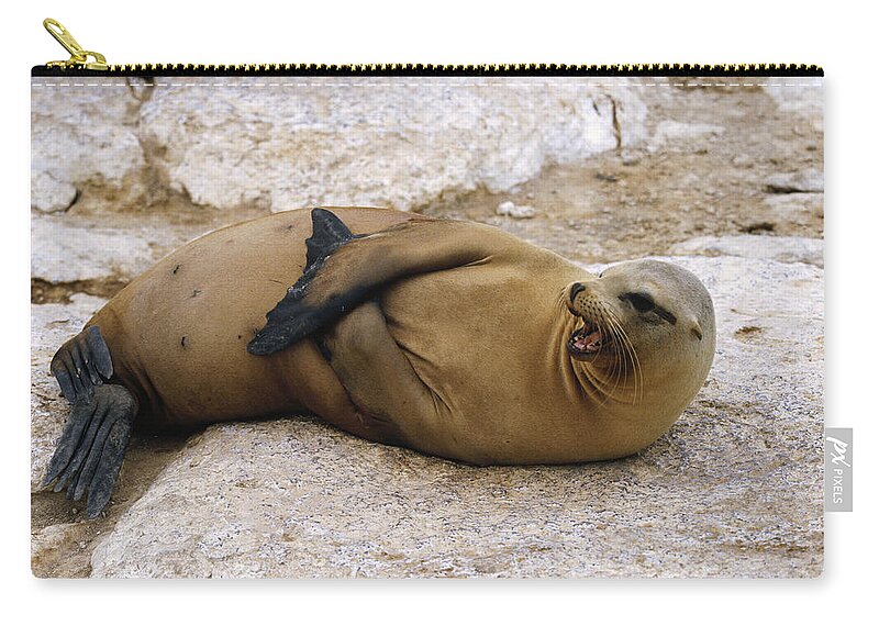 Feb0514 Carry-all Pouch featuring the photograph Galapagos Sea Lion Calling by Konrad Wothe