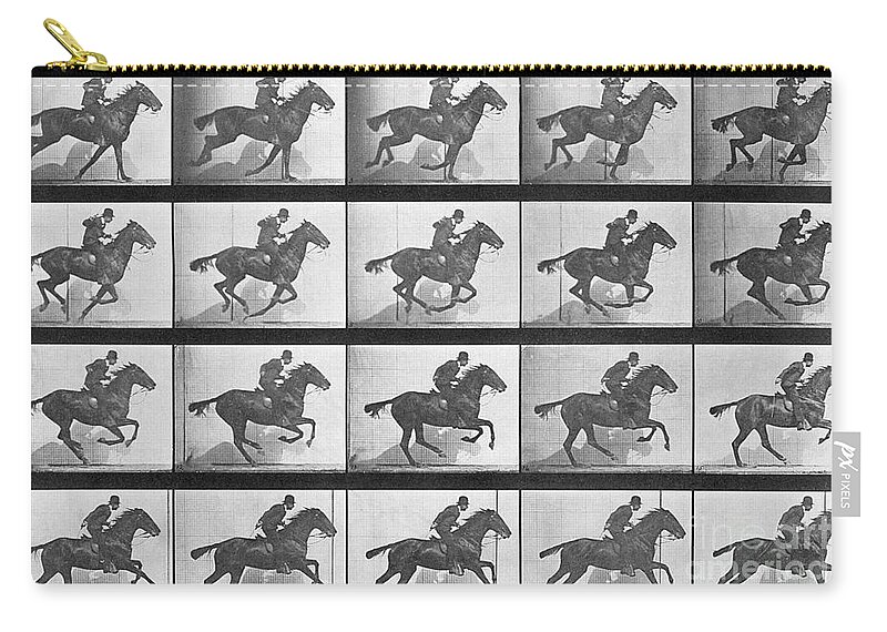 Muybridge Zip Pouch featuring the photograph Galloping Horse, plate 628 from Animal Locomotion, 1887 by Muybridge by Eadweard Muybridge
