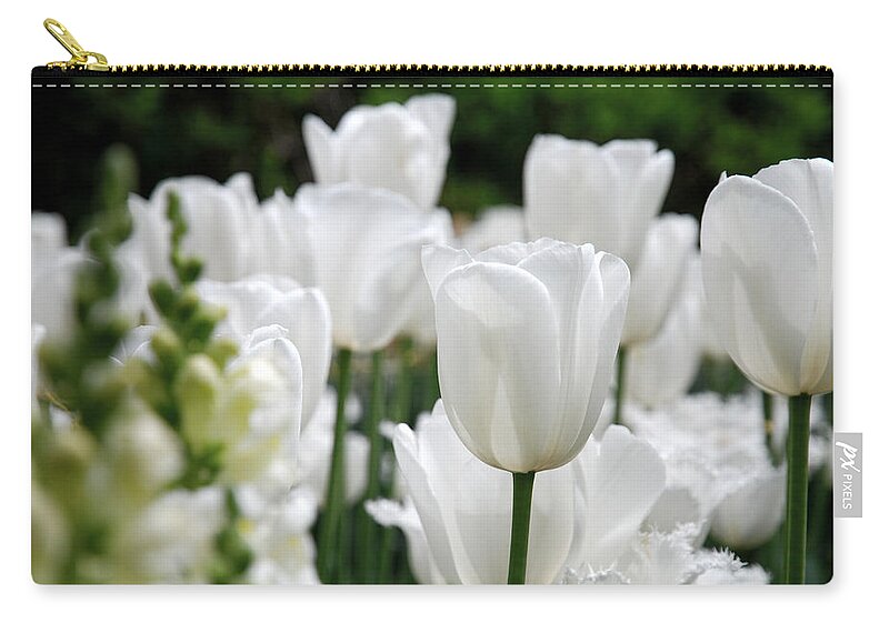 Tulip Zip Pouch featuring the photograph Garden Beauty by Jennifer Ancker