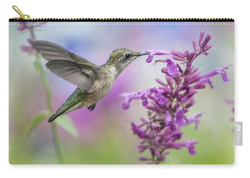 Hummingbird Zip Pouch featuring the photograph Garden Friend by Jean-Pierre Ducondi