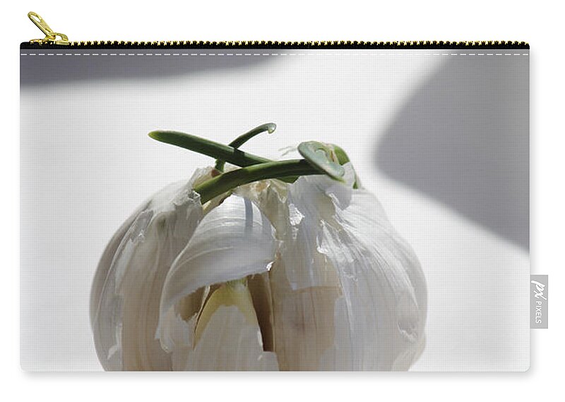 Garlic Zip Pouch featuring the photograph Garlic Clove by Carrie Godwin