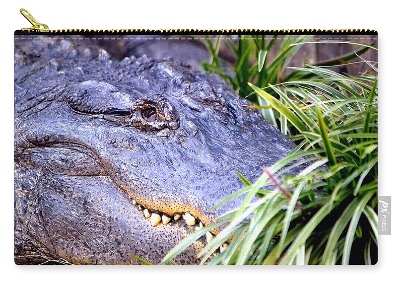 Gator Zip Pouch featuring the photograph Gator by Deena Stoddard