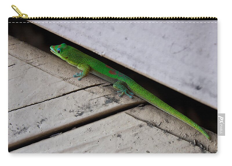 Gecko Zip Pouch featuring the photograph Gecko Dressed in Green by Christie Kowalski