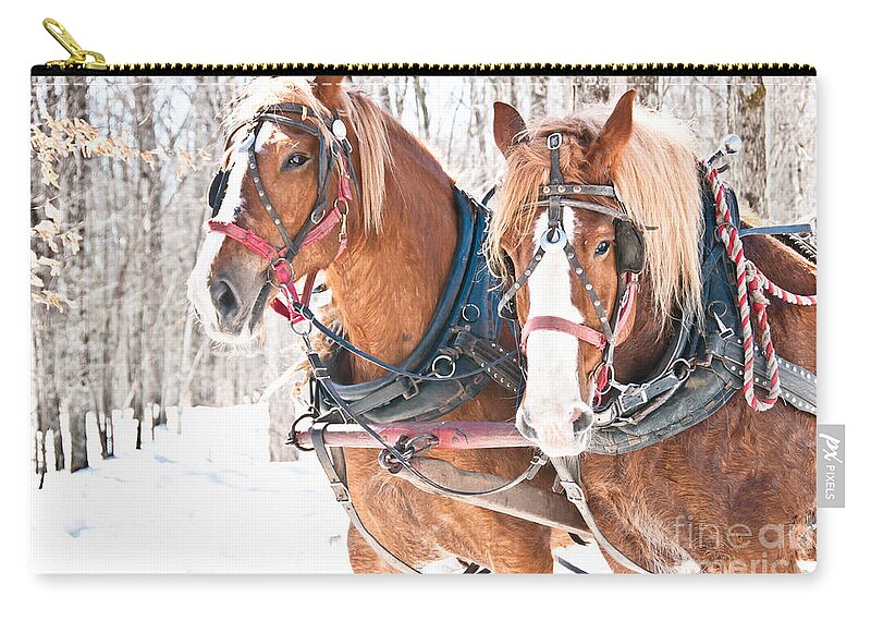 Maple Syrup Zip Pouch featuring the photograph Gentle Giants by Cheryl Baxter