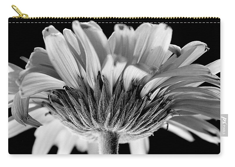 Greeting Zip Pouch featuring the photograph Gerber Daisy in BW by Deborah Crew-Johnson