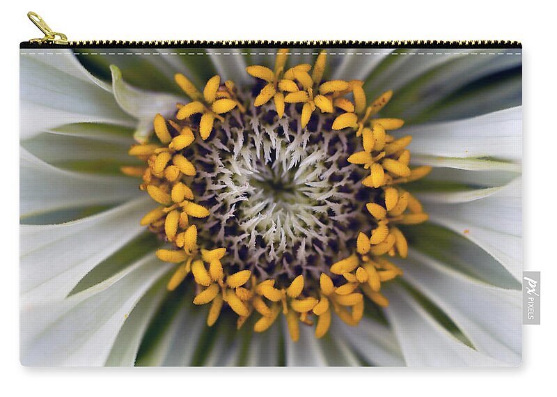 Outdoors Zip Pouch featuring the photograph Germany, Zinnia Flower, Close Up by Westend61