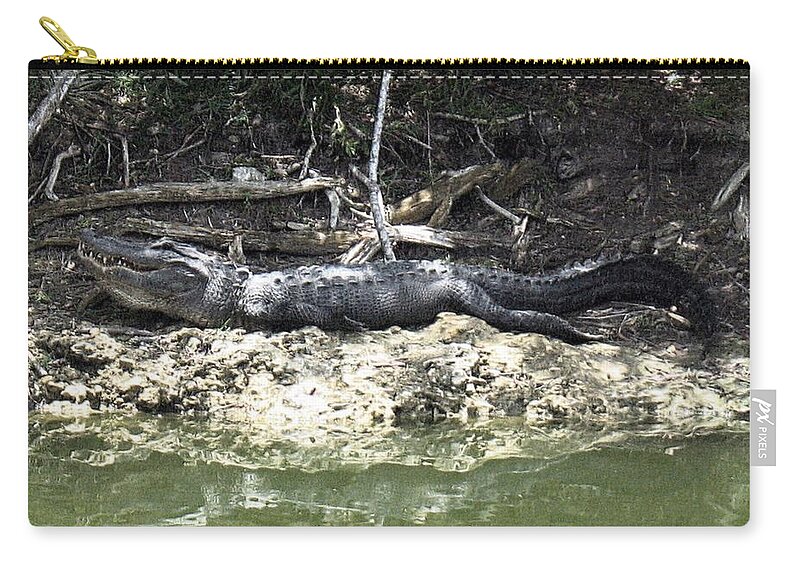 Alligator Zip Pouch featuring the photograph Getting Some Sun by Wendy Gertz