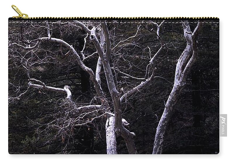 Landscape Zip Pouch featuring the photograph Ghost Tree by Kae Cheatham