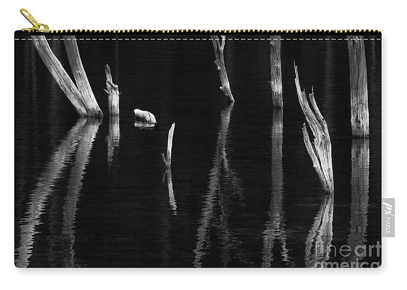 Tree Zip Pouch featuring the photograph Ghosts Of The Rocky Mountains 2 by Bob Christopher