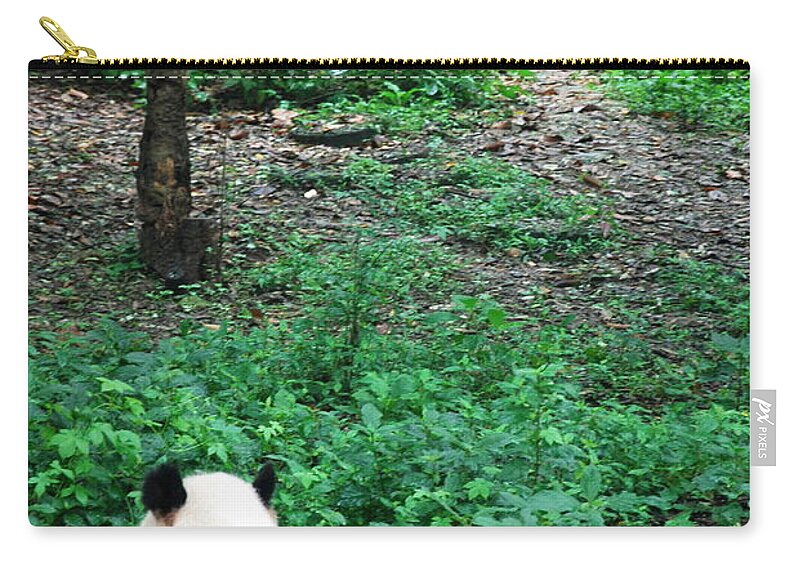 Panda Zip Pouch featuring the photograph Giant Panda by Photography By Frieda Ryckaert