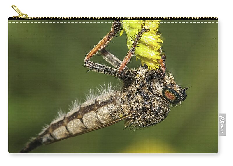 Animal Zip Pouch featuring the photograph Giant Robber Fly by Nature's Faces