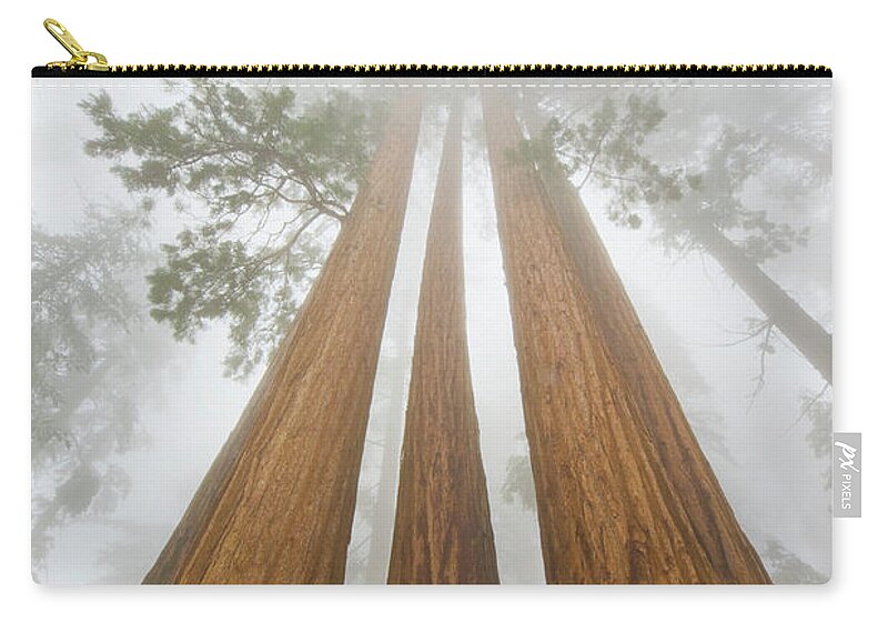 00431220 Zip Pouch featuring the photograph Giant Sequoias In the Fog by Yva Momatiuk John Eastcott
