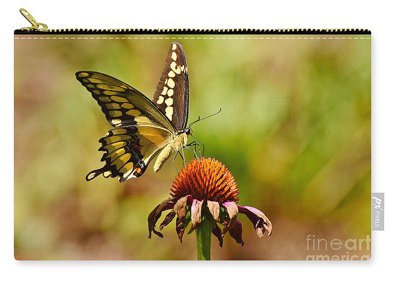 Butterfly Zip Pouch featuring the photograph Giant Swallowtail Butterfly by Kathy Baccari