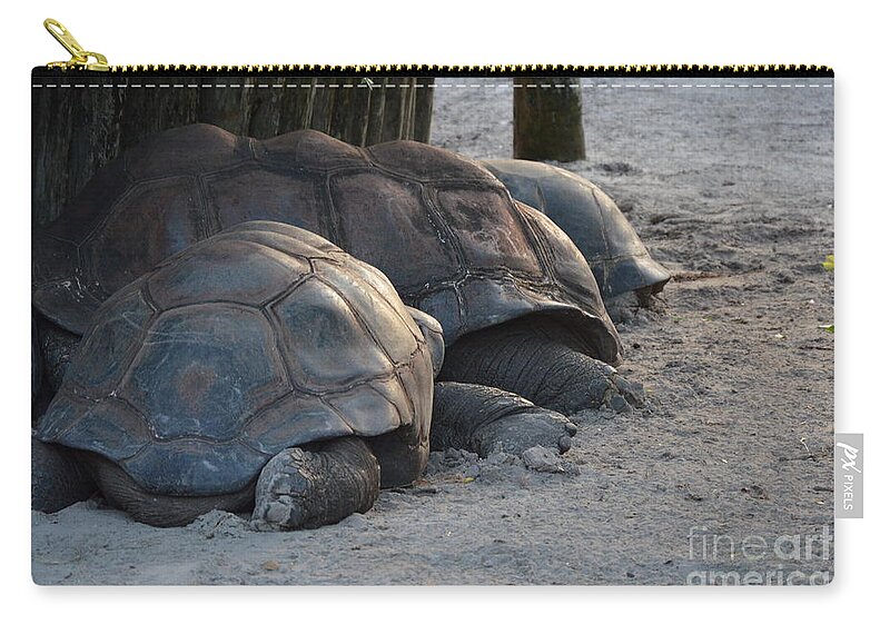 Aldabra Tortise Zip Pouch featuring the photograph Giant Tortise by Robert Meanor