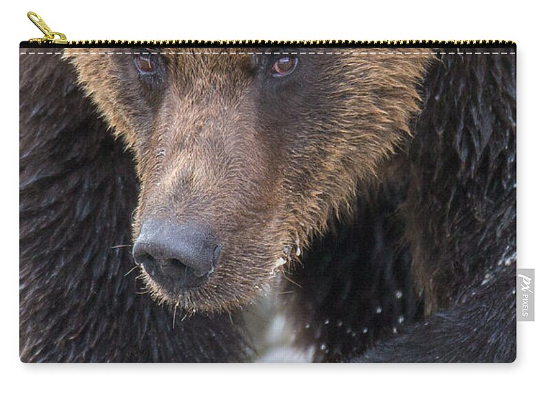Bear Zip Pouch featuring the photograph Glacier's Edge by Kevin Dietrich