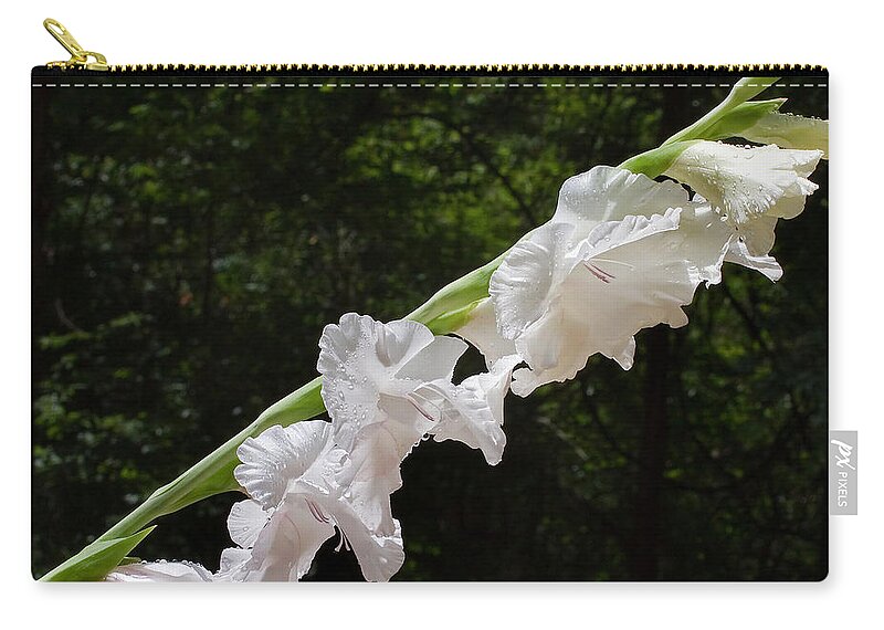 Flower Zip Pouch featuring the photograph Gladiolas in the Rain by Farol Tomson