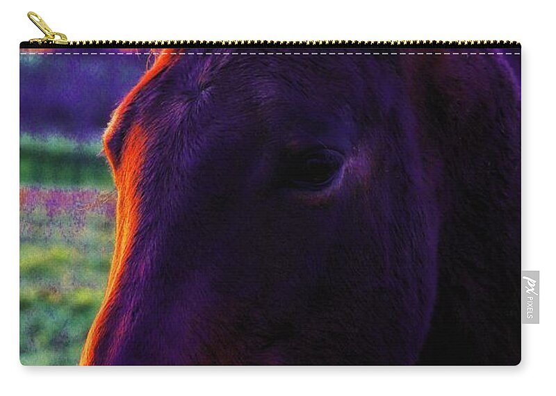 Horses Zip Pouch featuring the photograph Glamour Shot by Robert McCubbin
