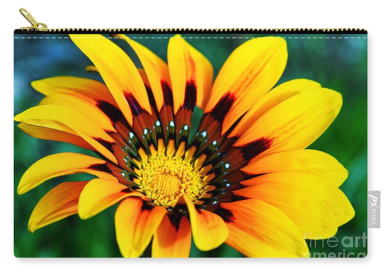 Daisy Zip Pouch featuring the photograph Glorious Day Yellow Flower By Diana Sainz by Diana Raquel Sainz