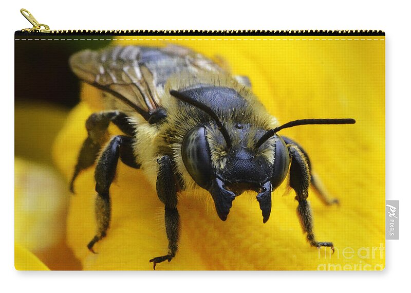 Bee Zip Pouch featuring the photograph Go Ahead Make My Day by Bob Christopher