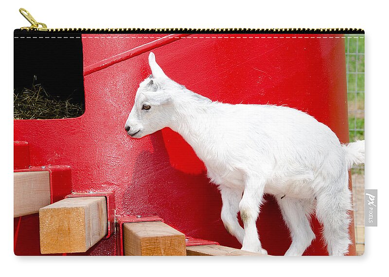 Goat Carry-all Pouch featuring the photograph Kid's Play by Laurel Best