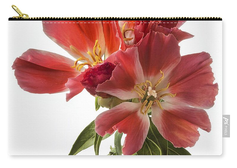 Flower Zip Pouch featuring the photograph Godacia by Endre Balogh