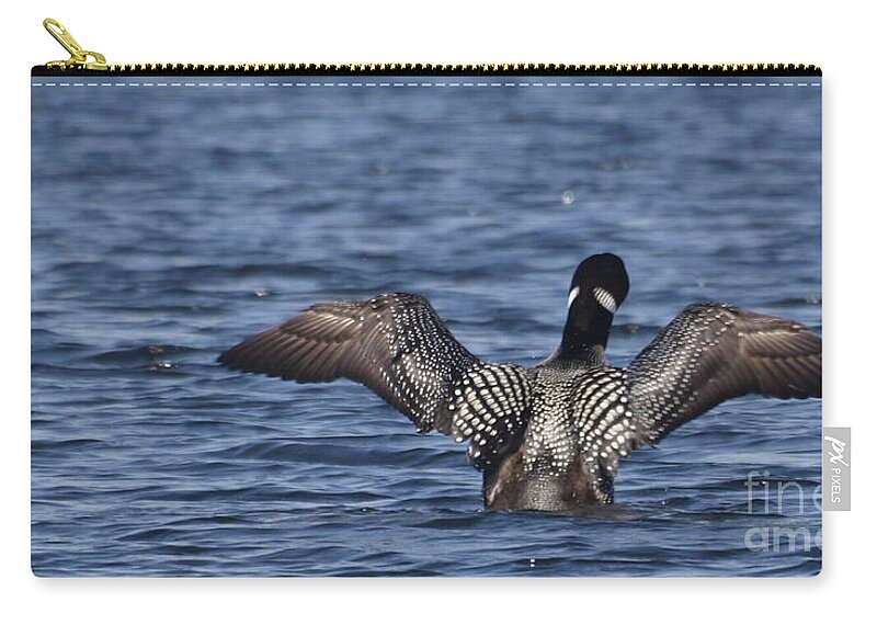 Loon Zip Pouch featuring the photograph Goin' Looney by Vivian Martin