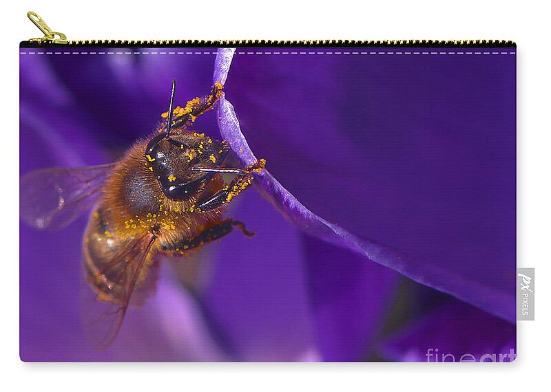 Honeybee Zip Pouch featuring the photograph Gold Dust by Sharon Talson