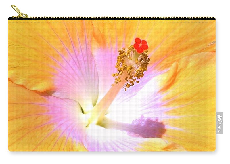 Gold Zip Pouch featuring the photograph Gold Hibiscus by Mary Deal