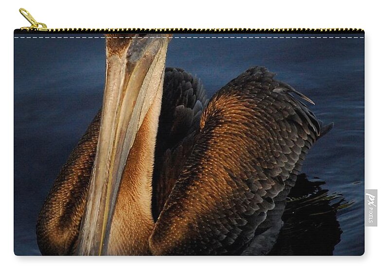 Pelican Carry-all Pouch featuring the photograph Golden Beauty by Quinn Sedam