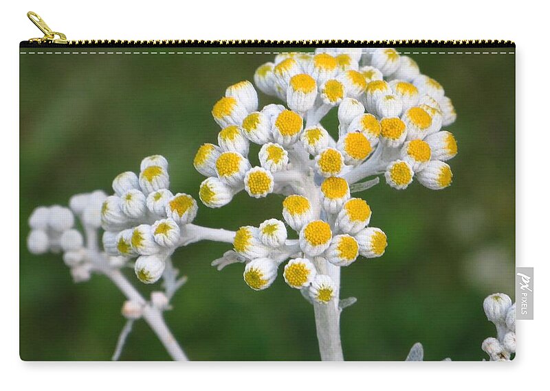 Sunny Buds Zip Pouch featuring the photograph Golden burst by Sonali Gangane