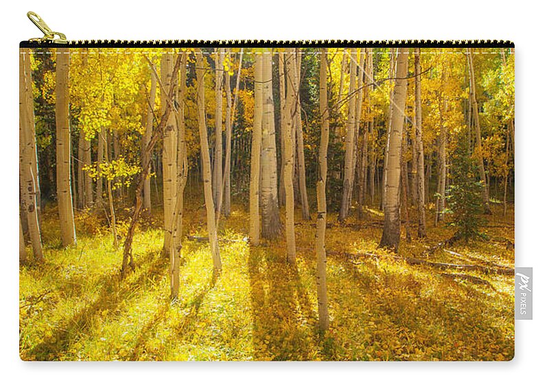 Aspens Carry-all Pouch featuring the photograph Golden by Darren White