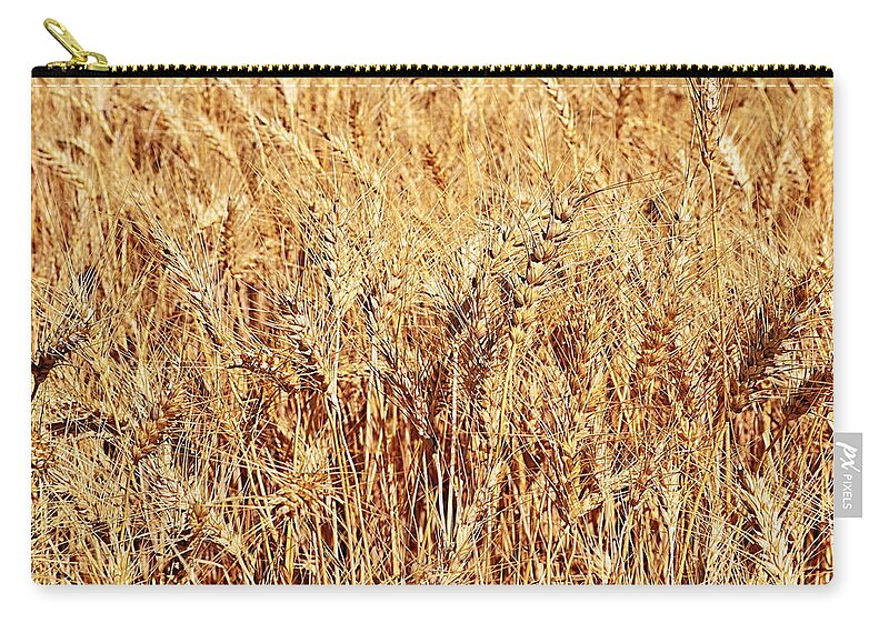 Wheat Zip Pouch featuring the photograph Golden Grains by Michelle Calkins