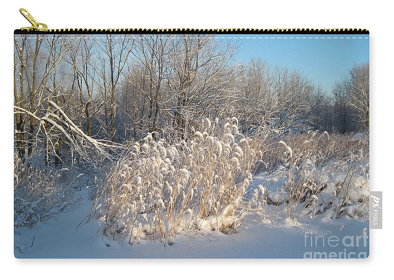 Foxtail Grass Zip Pouch featuring the photograph Golden Grass in Winter Sun with Snow by Conni Schaftenaar