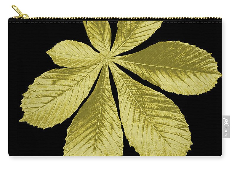 Black Background Zip Pouch featuring the photograph Golden Horse-chestnut Leaf On A Black by Mike Hill