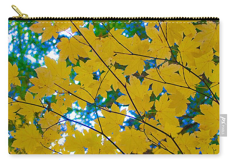 Golden Leaves Of Autumn Zip Pouch featuring the photograph Golden Leaves of Autumn by Tikvah's Hope