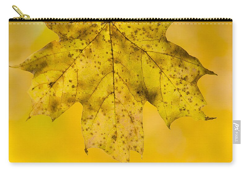 Fall Zip Pouch featuring the photograph Golden Maple Leaf by Sebastian Musial