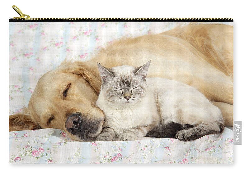 Dog Carry-all Pouch featuring the photograph Golden Retriever And Cat by John Daniels