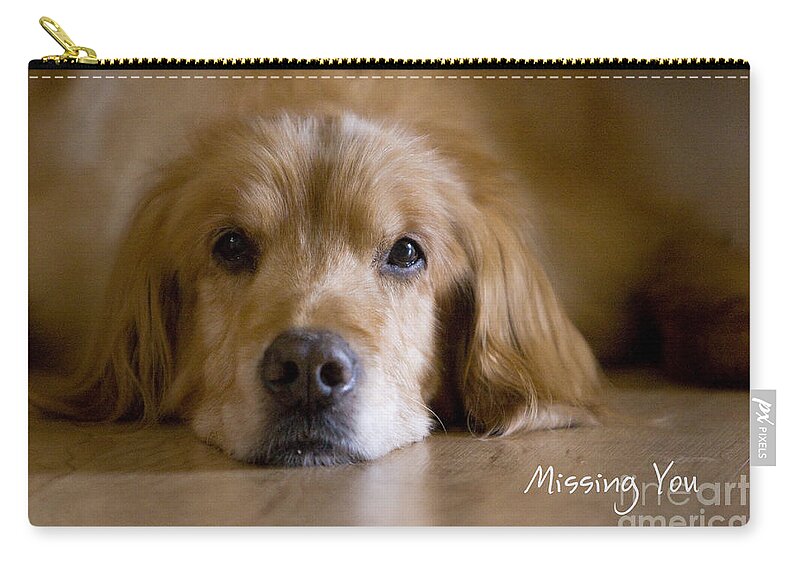 Golden Retriever Zip Pouch featuring the photograph Golden Retriever Missing You by James BO Insogna
