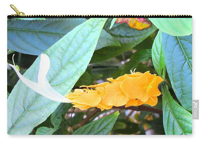 Art Zip Pouch featuring the photograph Golden Shrimp Plant by Ashley Goforth